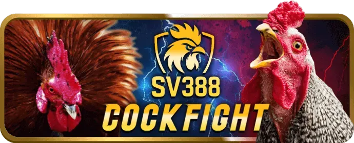 Chương trình hoàn trả hàng ngày và ưu đãi VIP tại i88 win